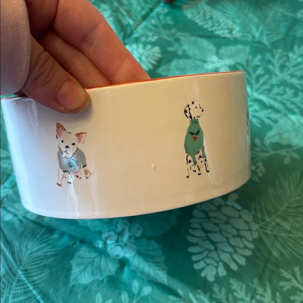 NEW Beth Briggs ceramic dog bowl!